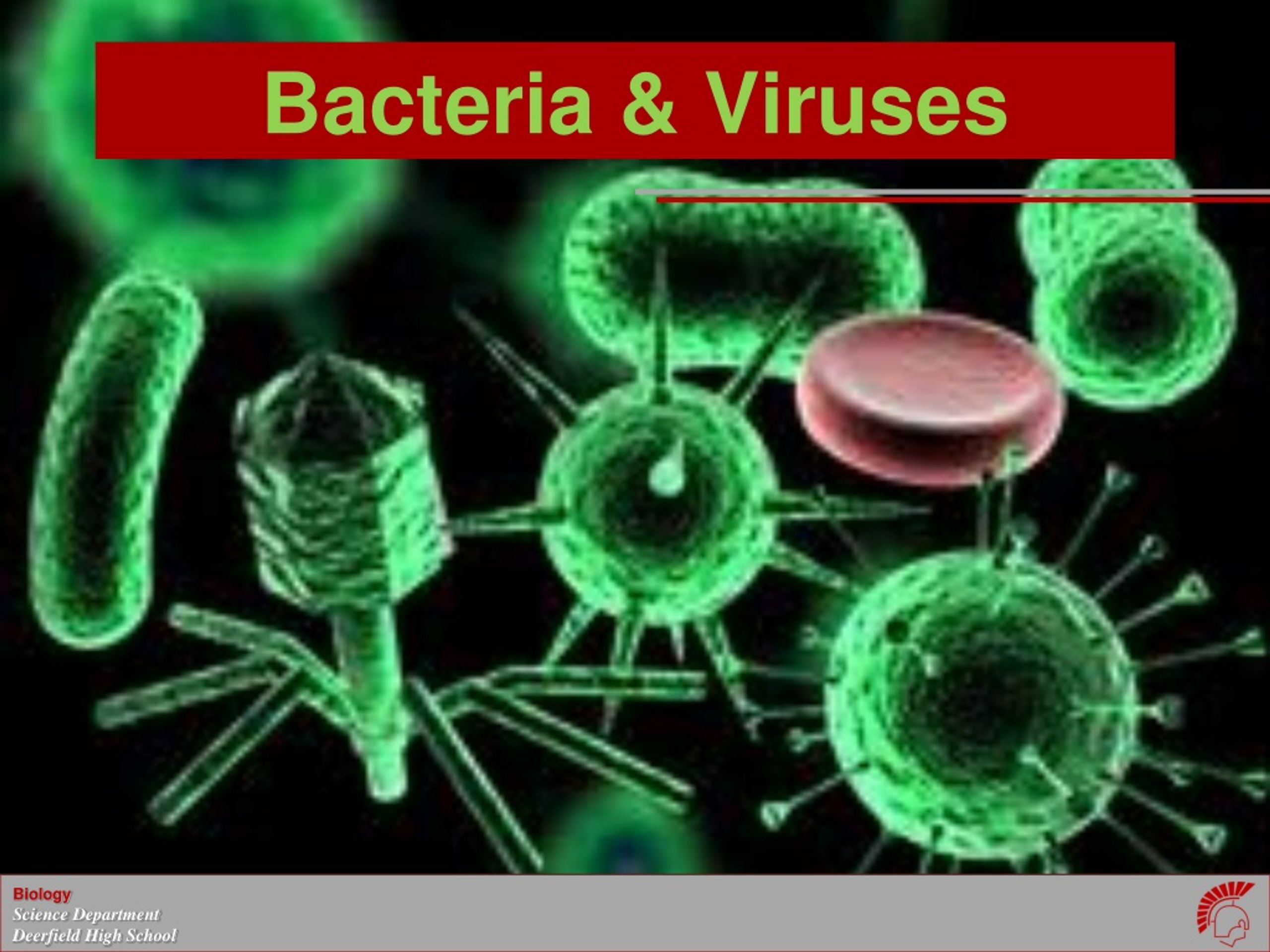 Virus тест. Вирус. Вирусы и бактерии. Бактерия 3д. Вирусы и бактерии 3d.