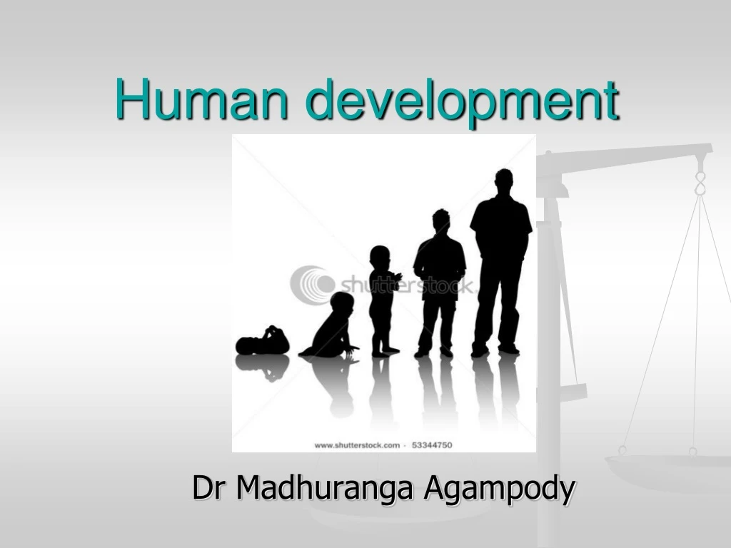 human development n.