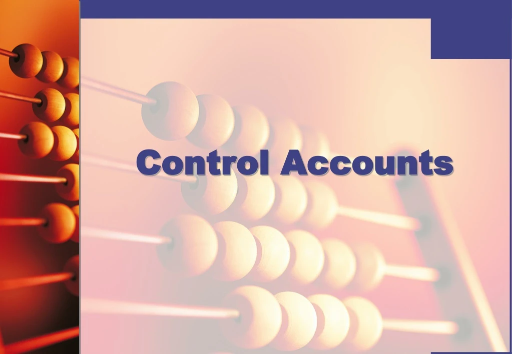 control accounts n.