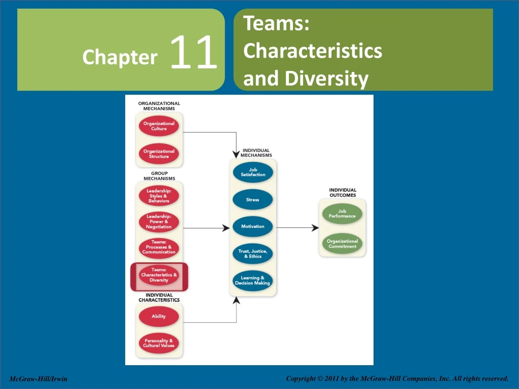 teams characteristics and diversity n.