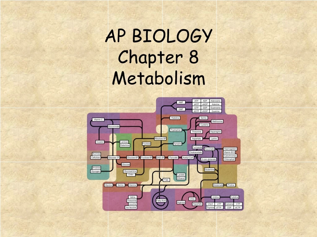 ap biology frq metabolism