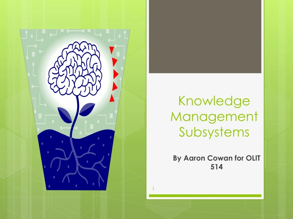 knowledge management subsystems n.