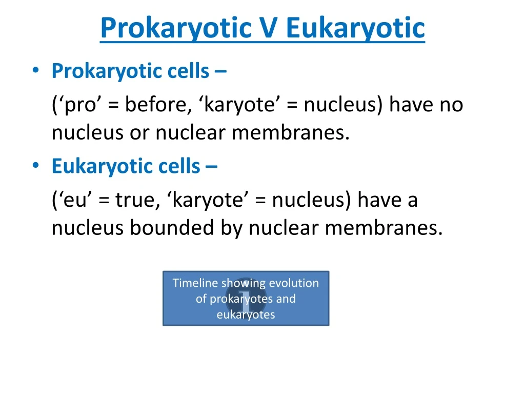 prokaryotic v eukaryotic n.