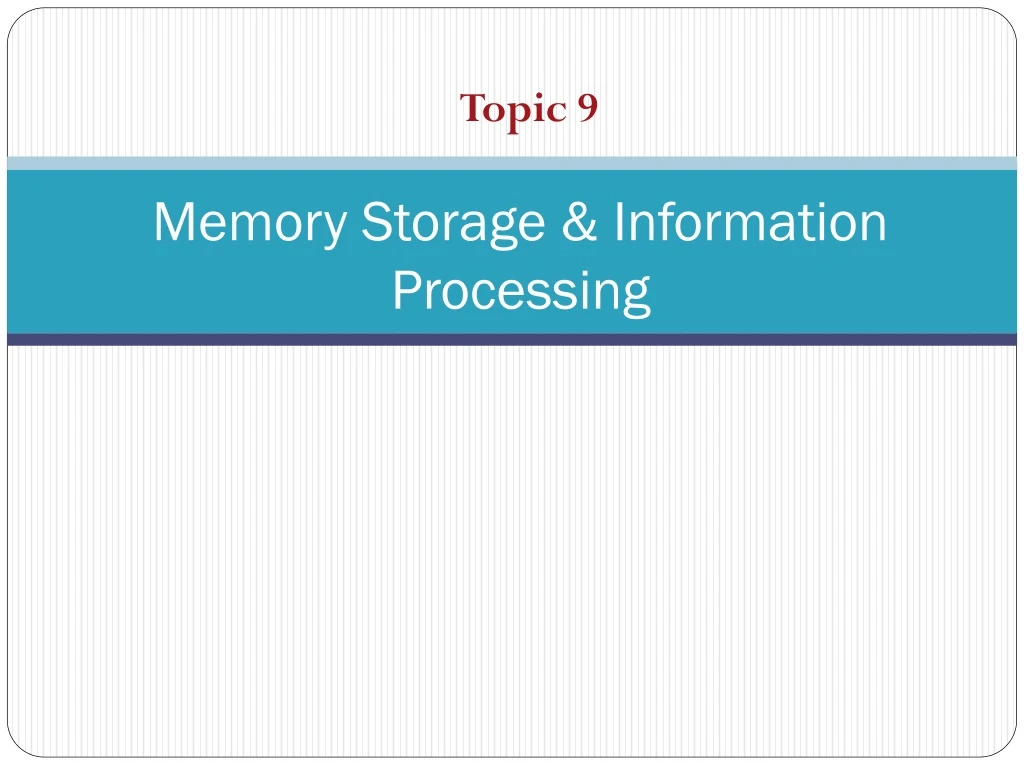 memory storage information processing n.