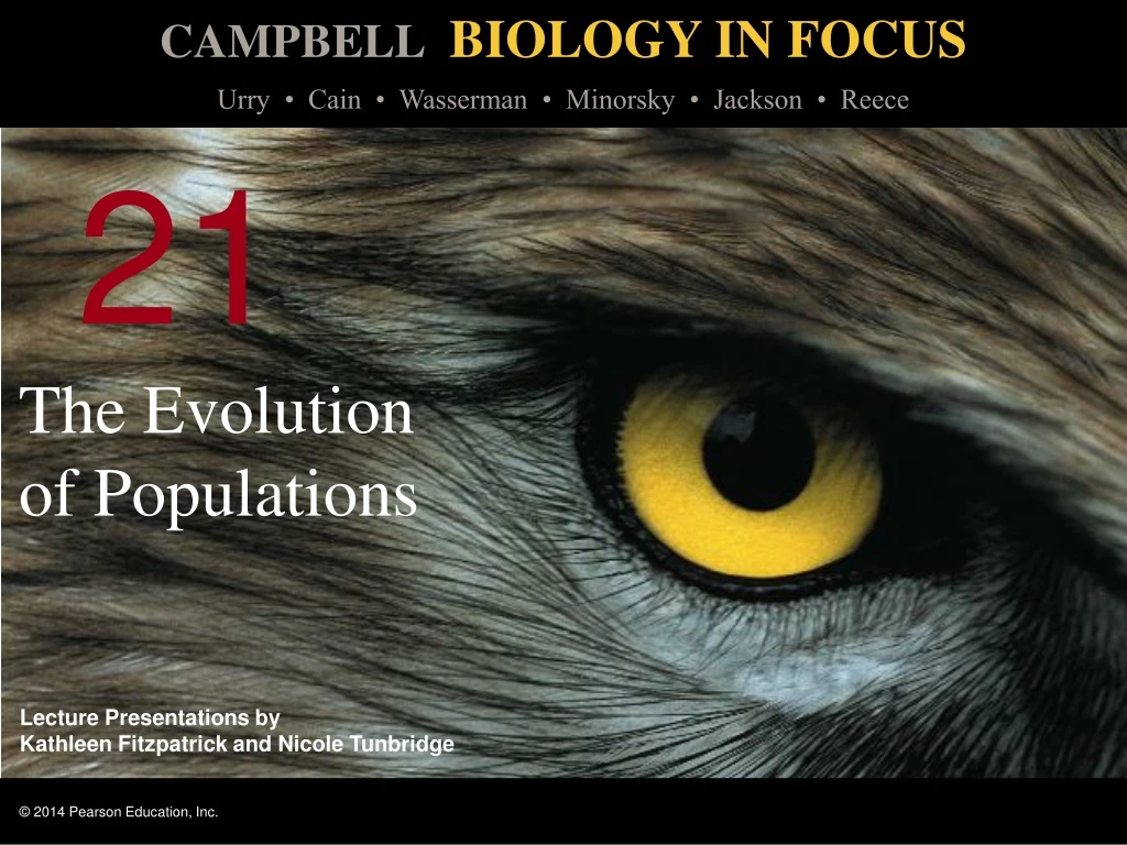the evolution of populations n.