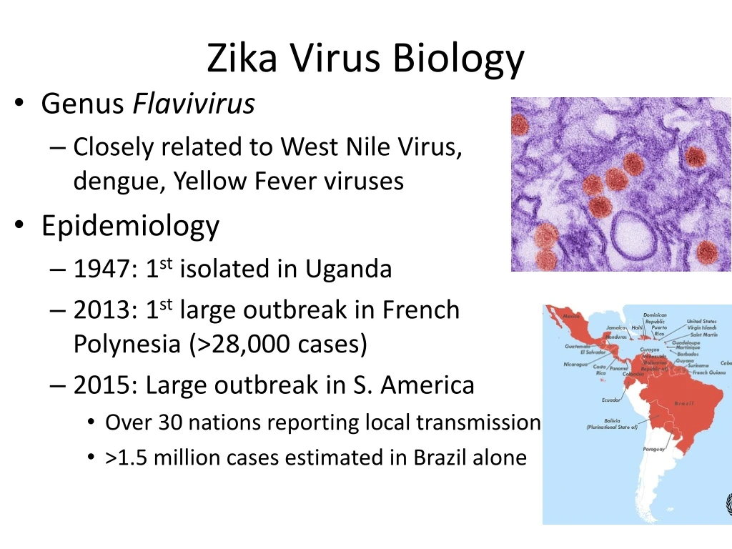 zika virus presentation powerpoint