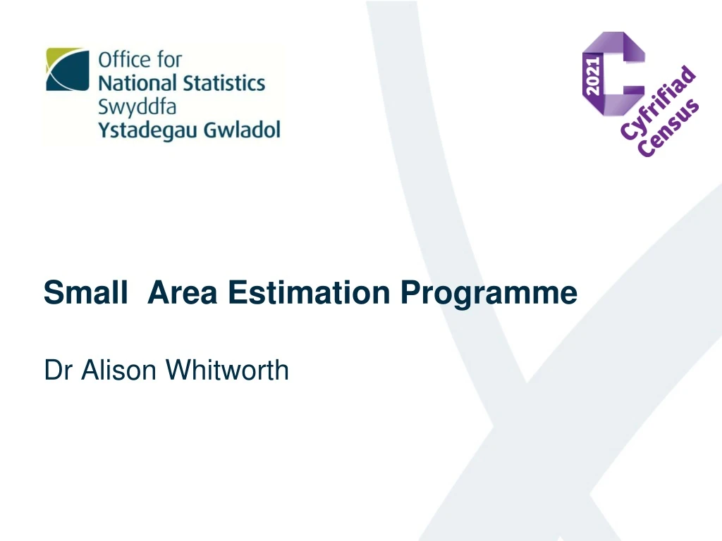 PPT Small Area Estimation Programme PowerPoint Presentation Free   Small Area Estimation Programme N 