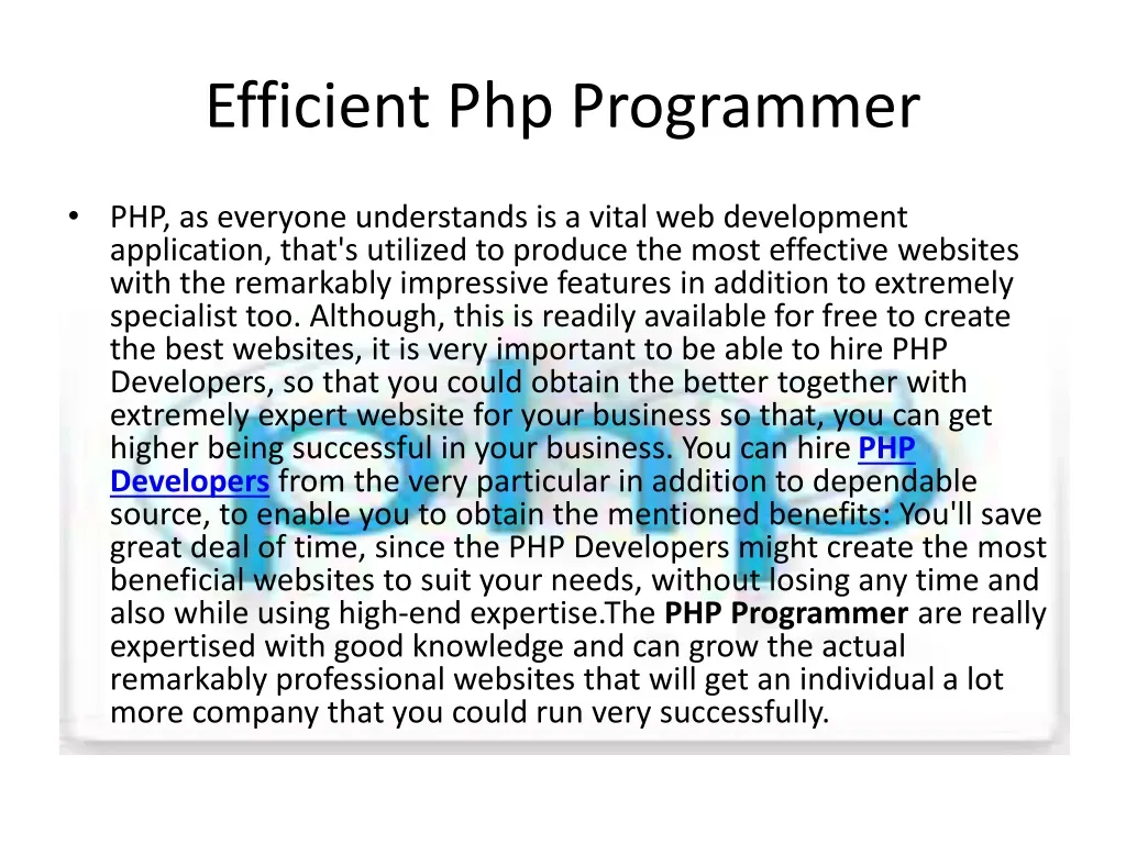 efficient php programmer n.