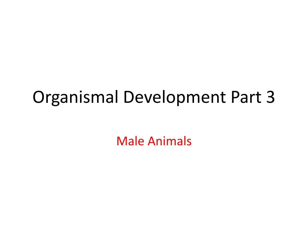 organismal development part 3 n.