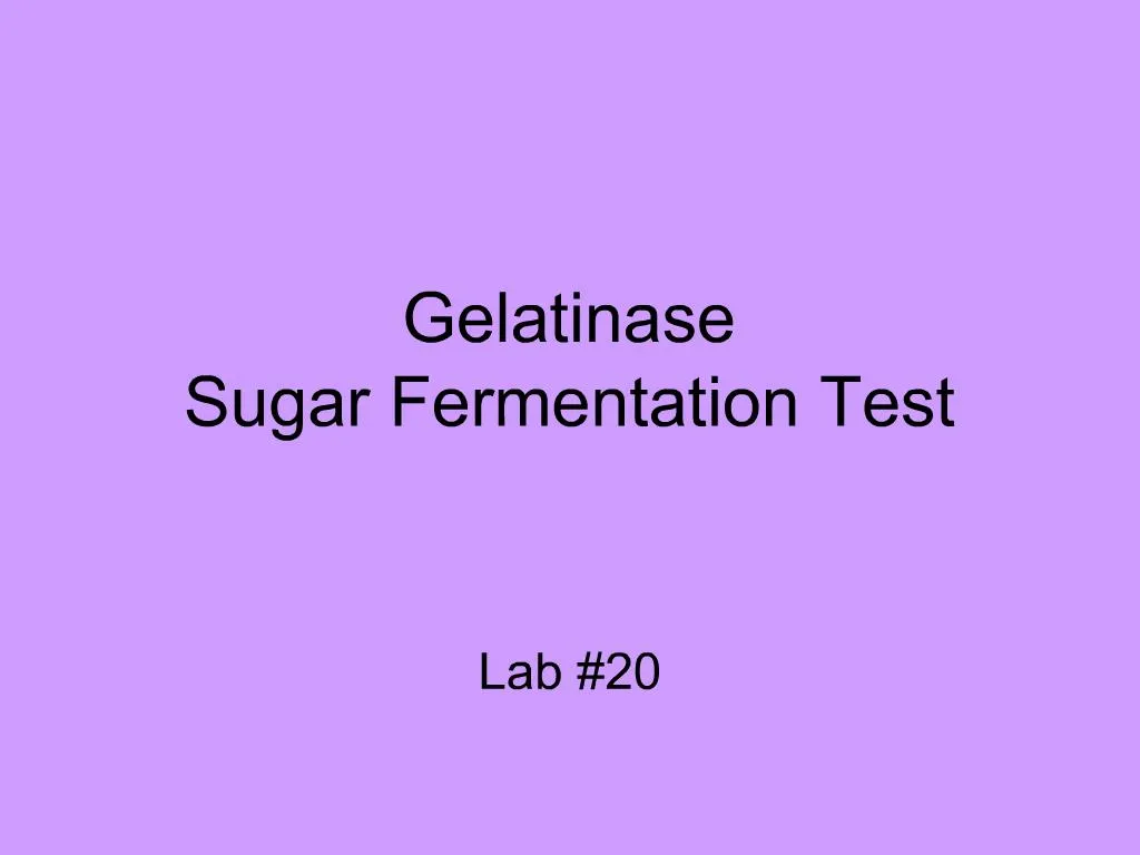 PPT Gelatinase Sugar Fermentation Test PowerPoint Presentation, free