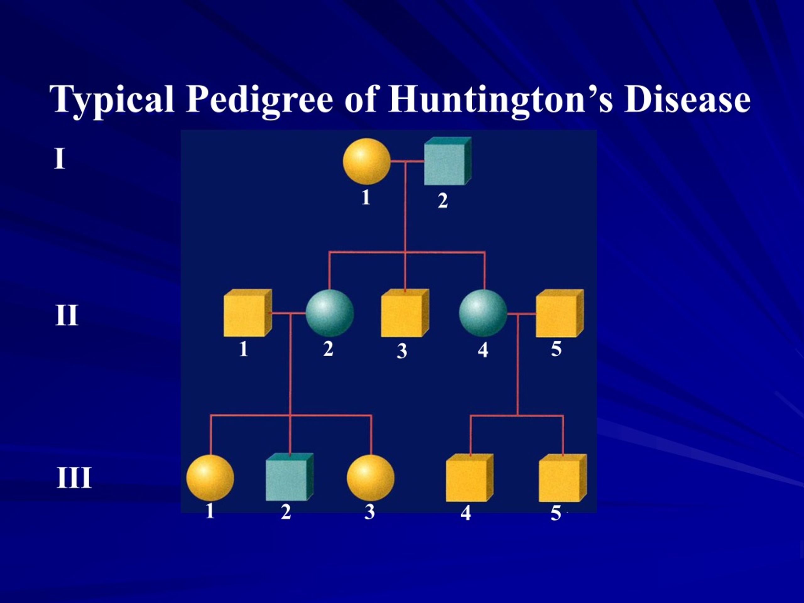 ppt-interpret-a-pedigree-powerpoint-presentation-free-download-id