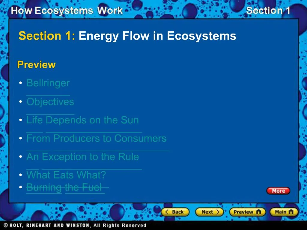 PPT Section 1 Energy Flow In Ecosystems PowerPoint Presentation   Slide1 N 