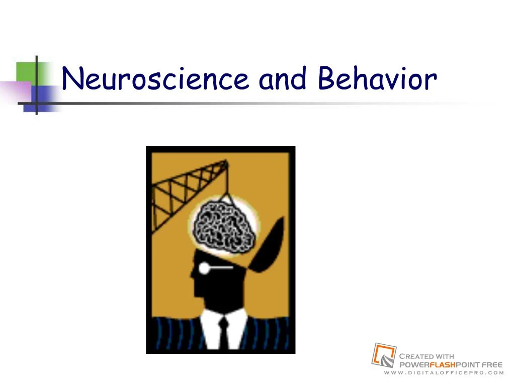 PPT - Chapter 2: Neuroscience And Behavior PowerPoint Presentation ...