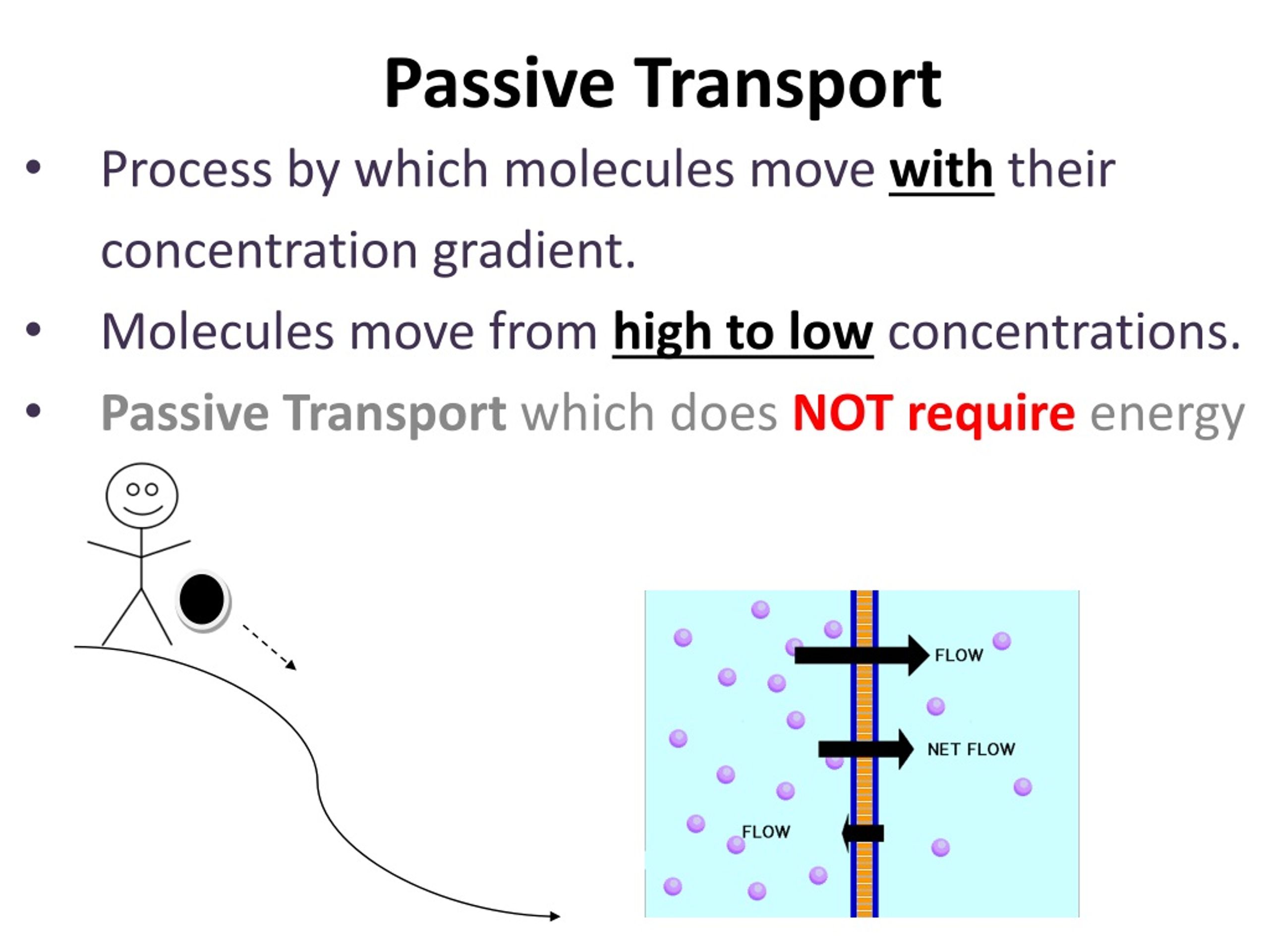 PPT Cell Transport Review PowerPoint Presentation, free download ID