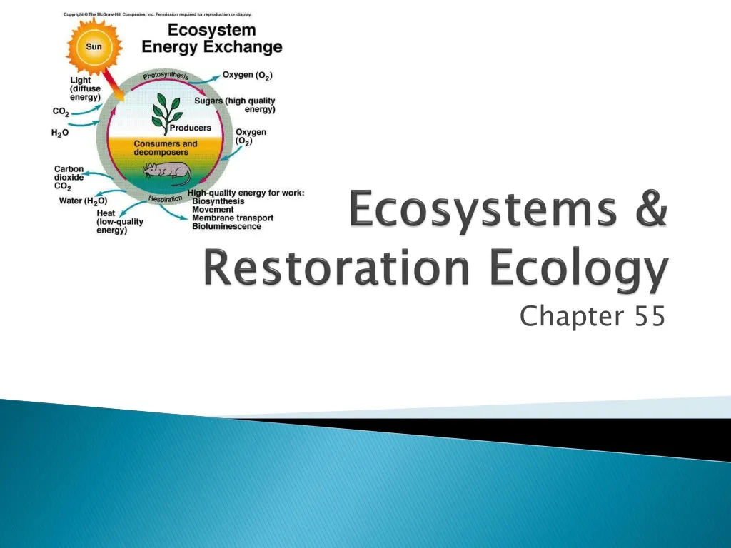 ecosystems restoration ecology n.