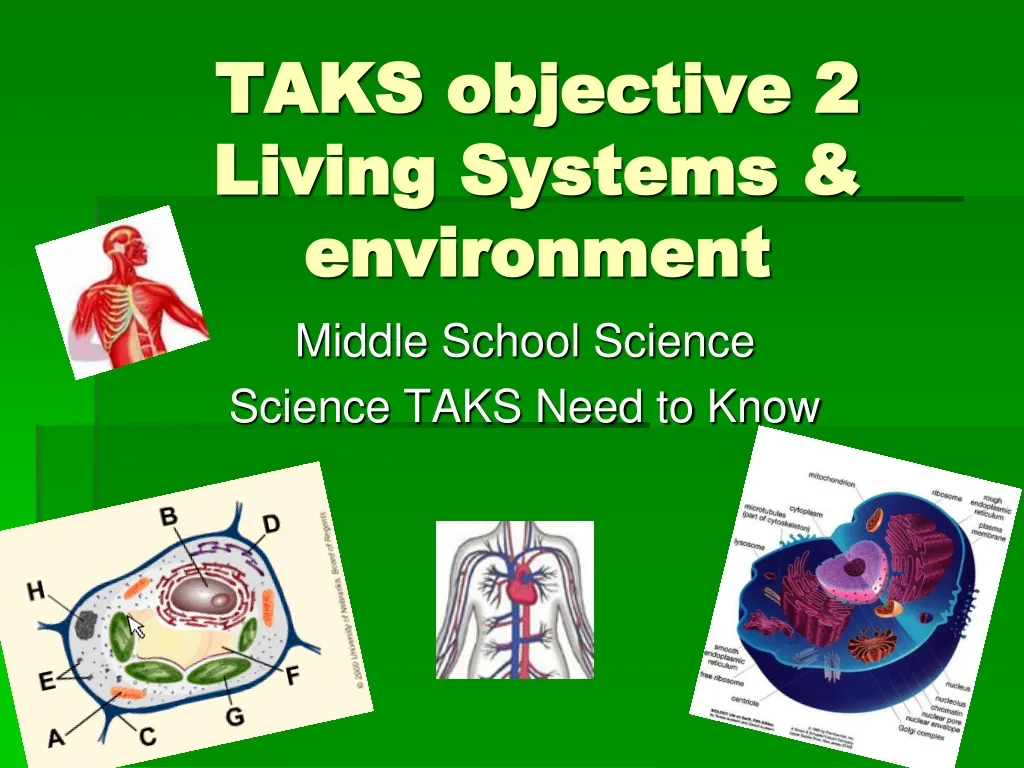 taks objective 2 living systems environment n.