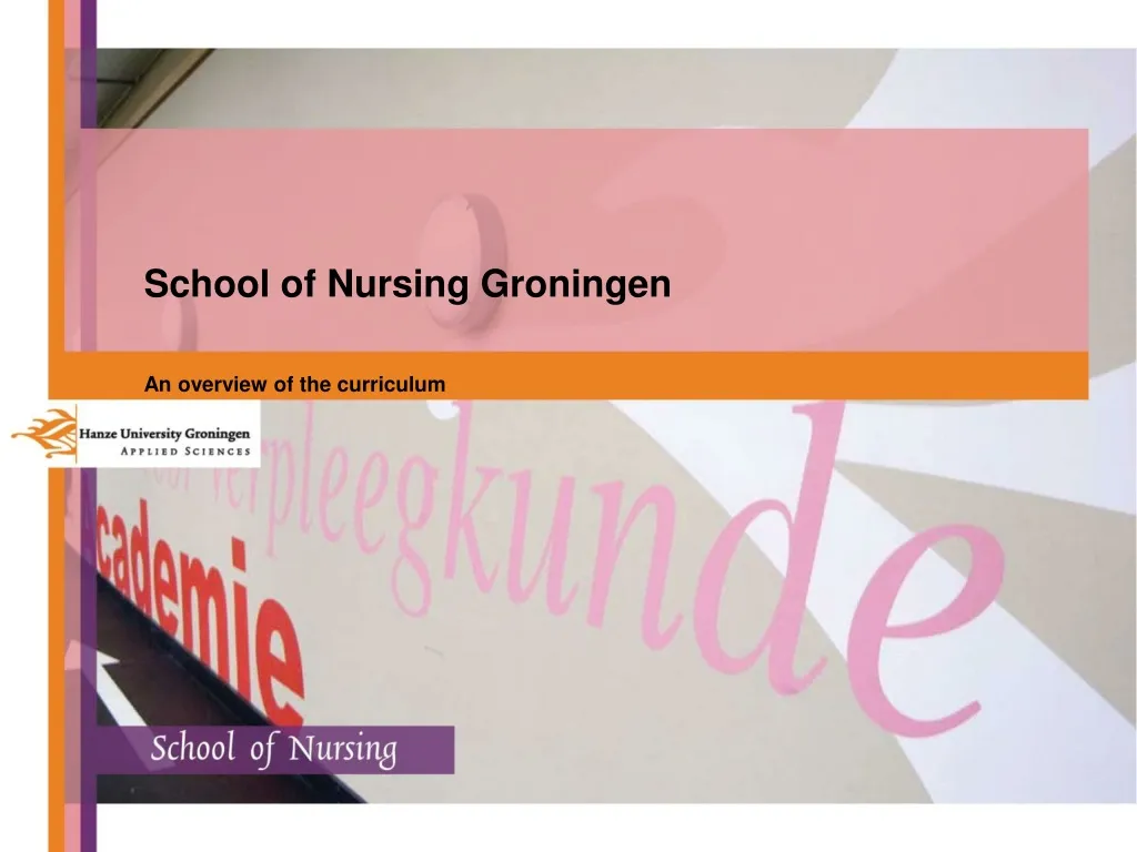 school of nursing groningen n.