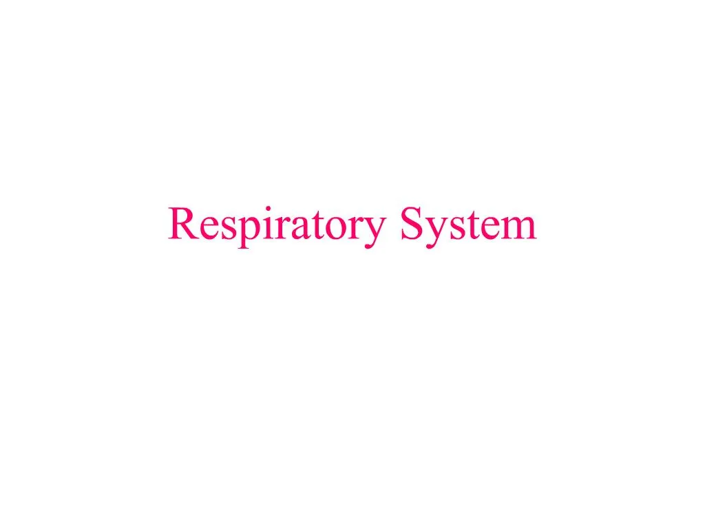 PPT - Respiratory System PowerPoint Presentation, free download - ID:297194