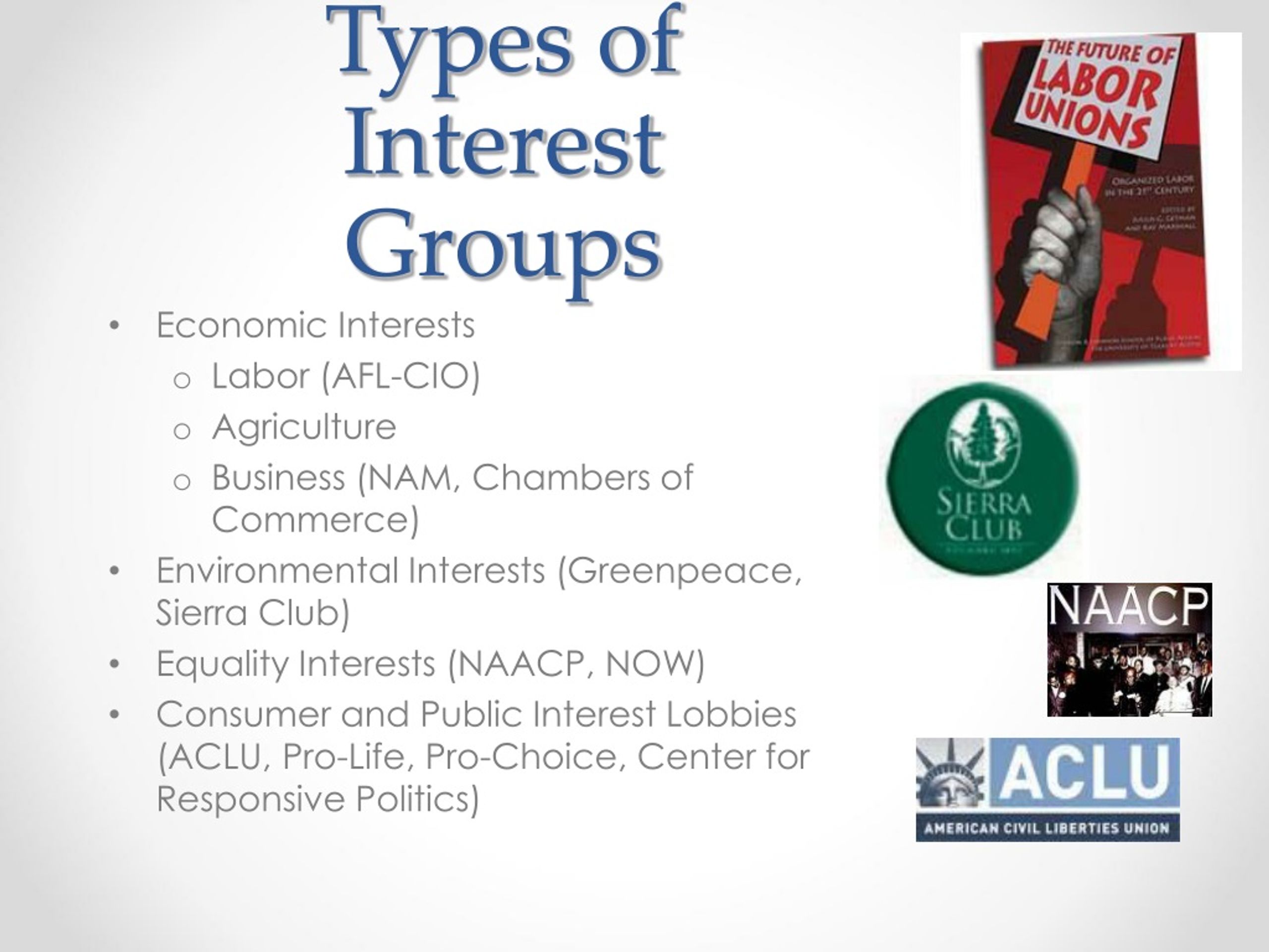 functions-and-types-of-interest-groups-in-the-united-states-american