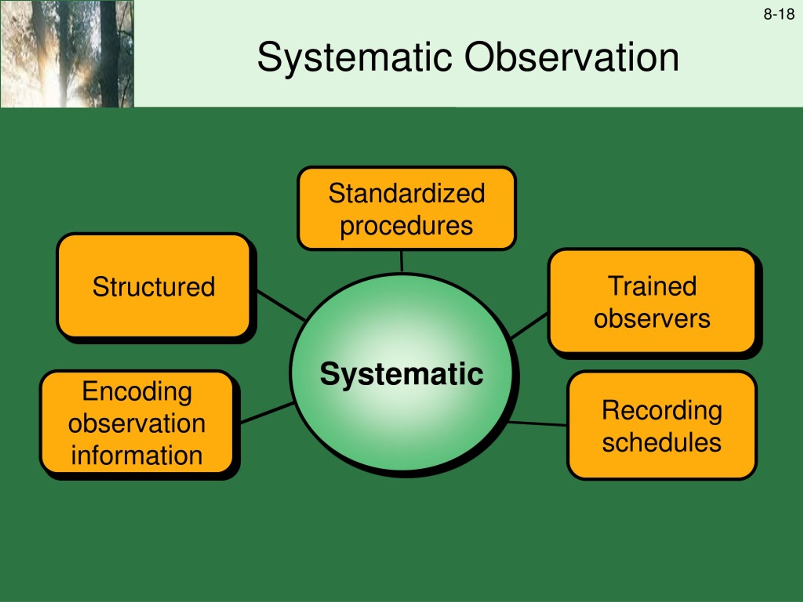 systematic observation