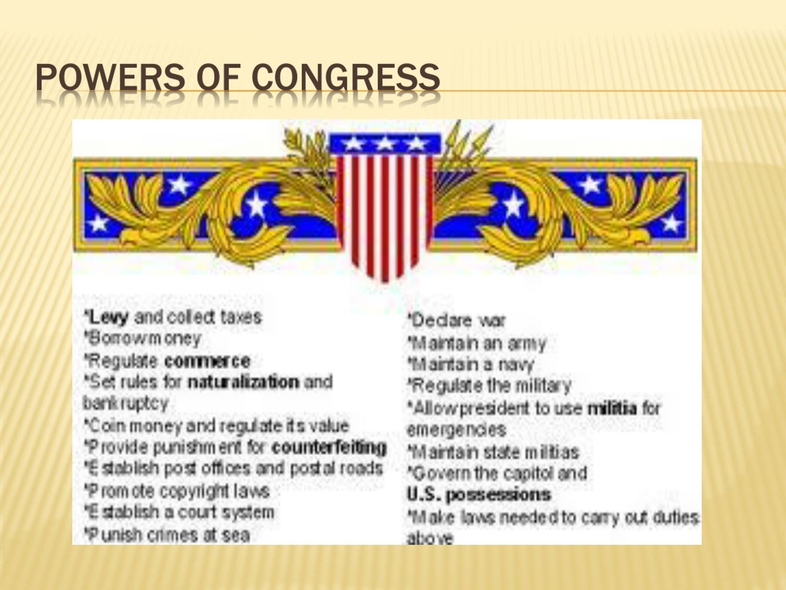presentation in the congress