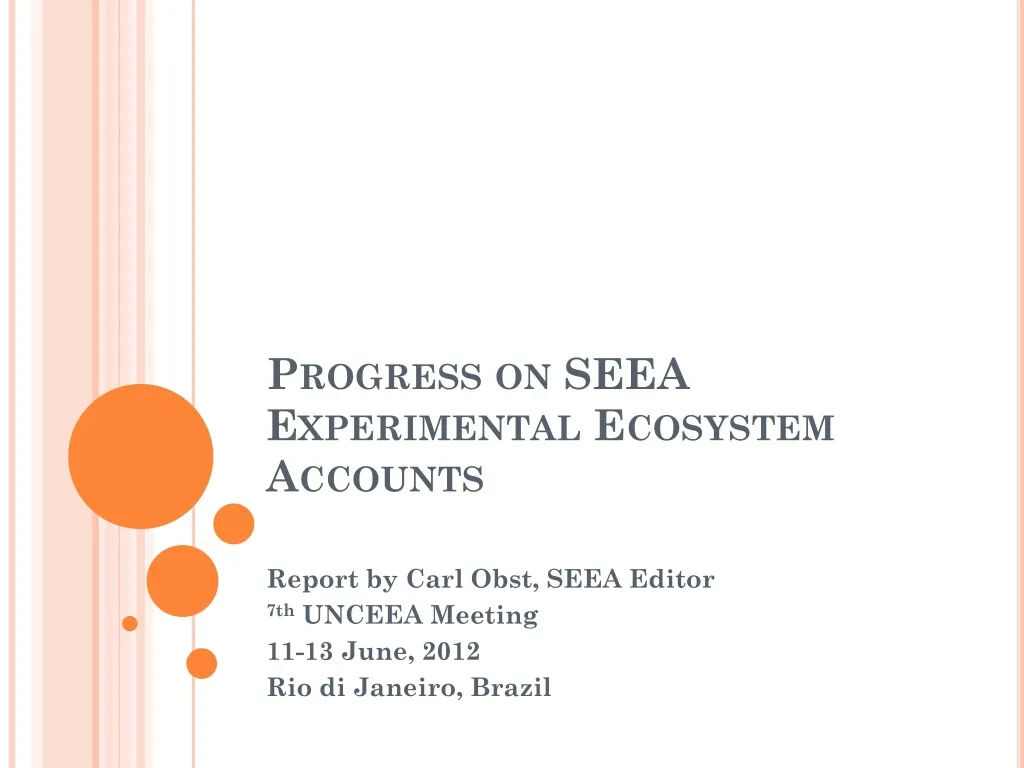 progress on seea experimental ecosystem accounts n.