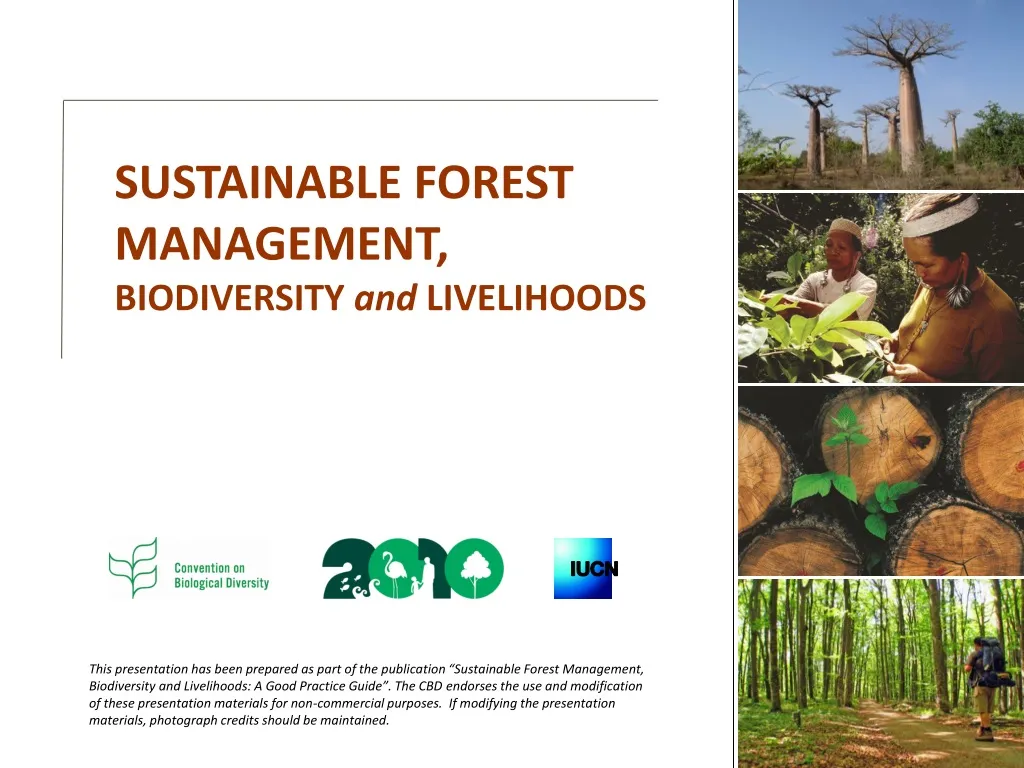 sustainable forest management biodiversity n.