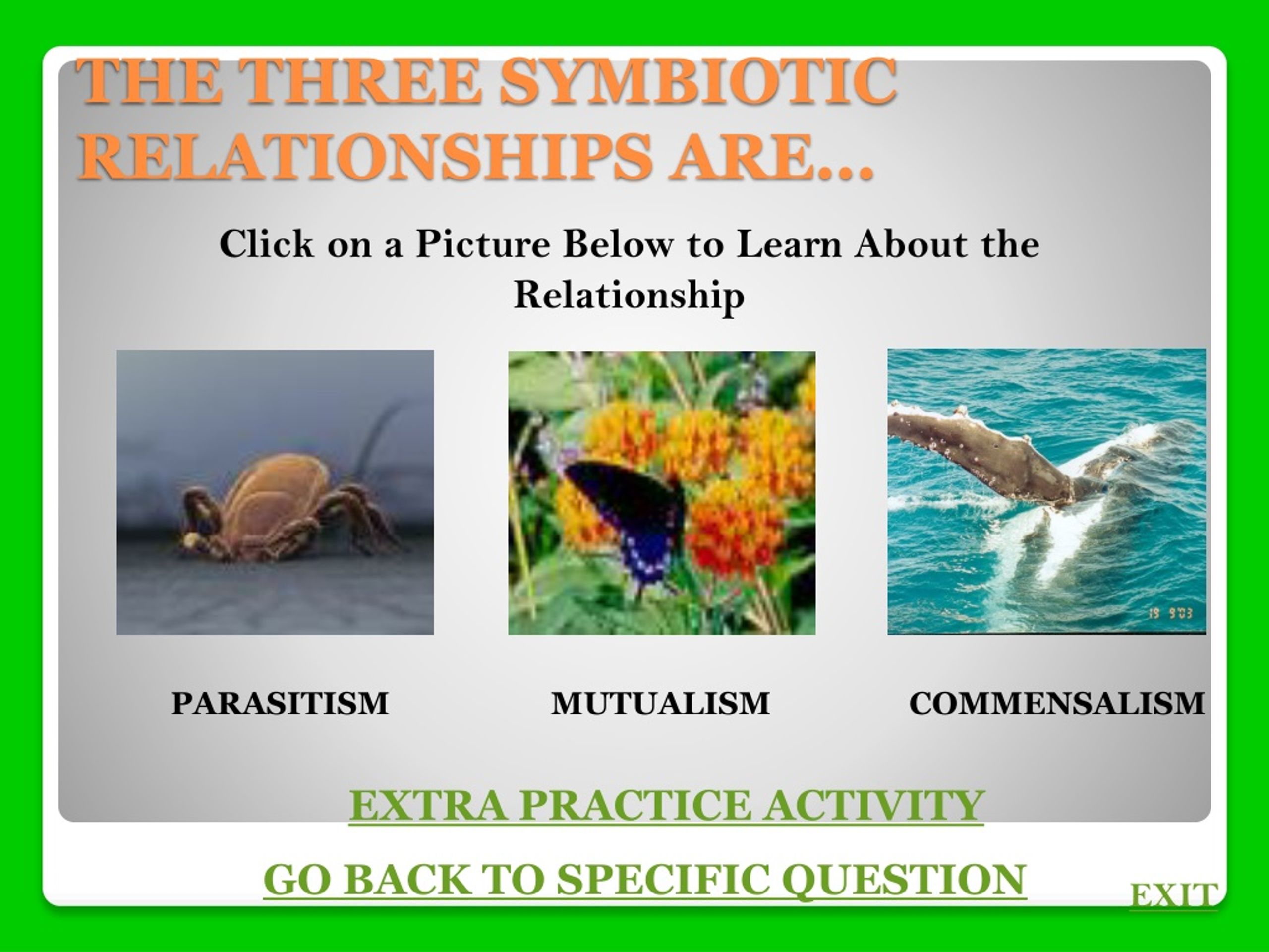 Ppt Symbiotic Relationships Powerpoint Presentation Free Download Id306652 8089