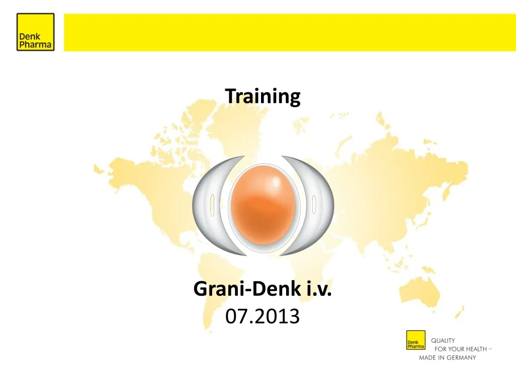 training grani denk i v 07 2013 n.