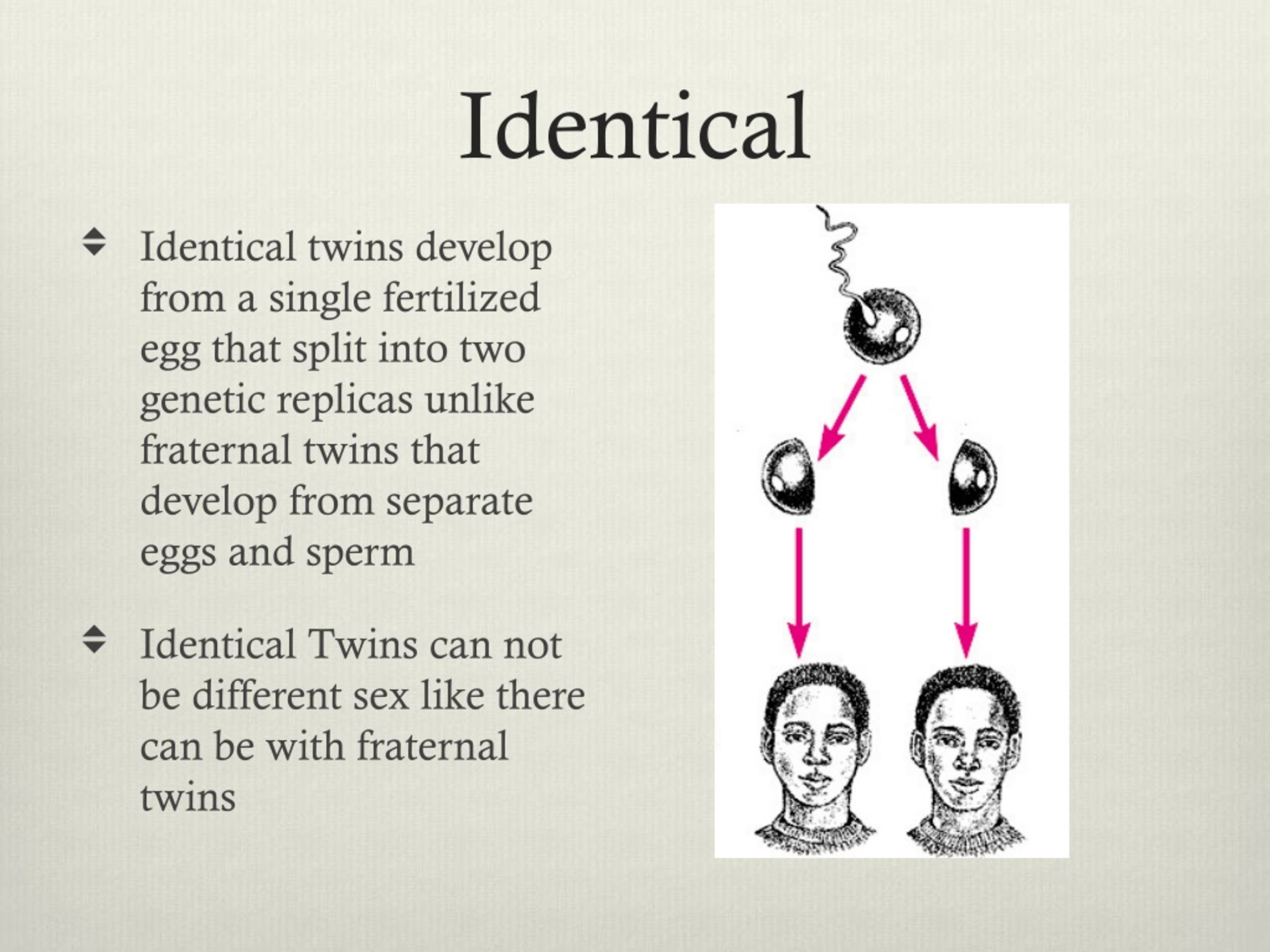 PPT - Twins PowerPoint Presentation, free download - ID:310235