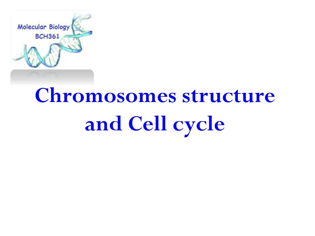 chromosomes structure and cell cycle n.