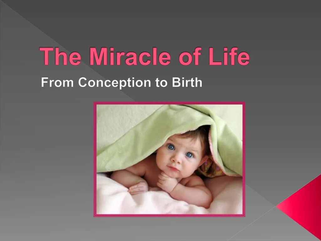the miracle of life n.