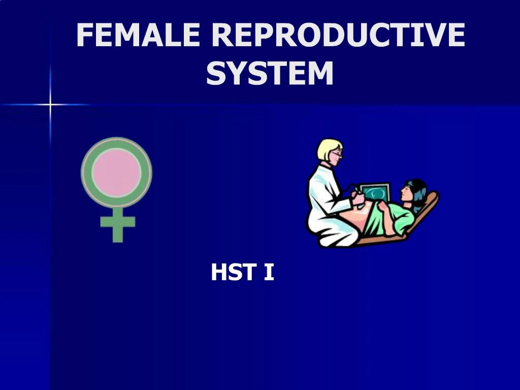 Ppt Female Reproductive System Powerpoint Presentation Free Download Id315497