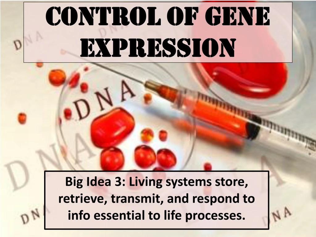 control of gene expression n.