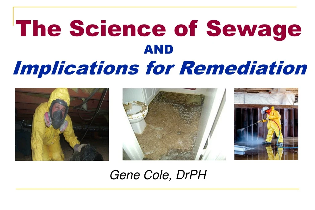 the science of sewage and implications for remediation n.