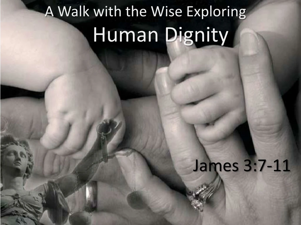 a walk with the wise exploring human dignity n.