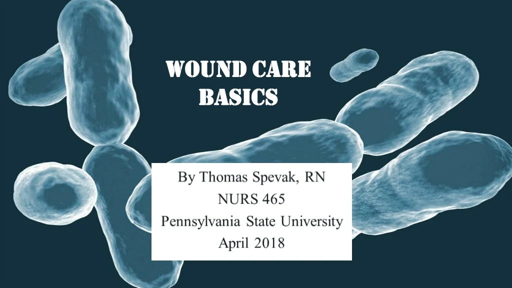 ppt-wound-care-basics-powerpoint-presentation-free-download-id-317874