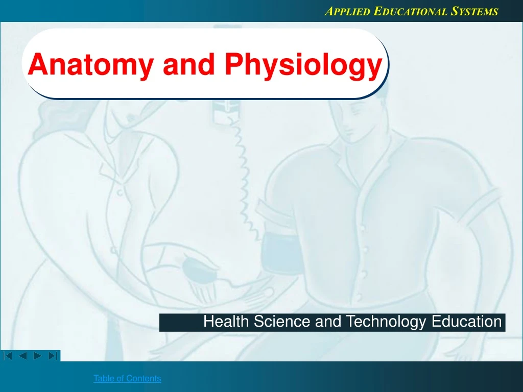 Ppt Anatomy And Physiology Powerpoint Presentation Free Download