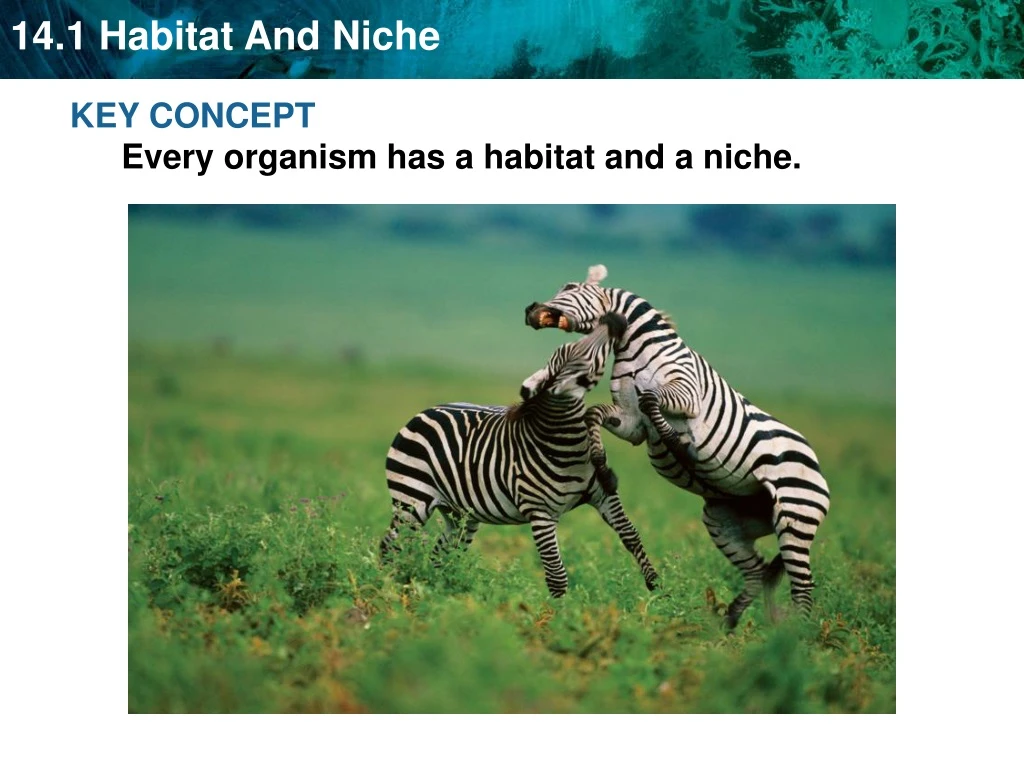key concept every organism has a habitat n.
