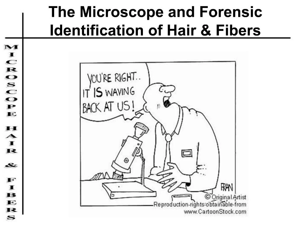 PPT - The Microscope and Forensic Identification of Hair Fibers PowerPoint  Presentation - ID:318547