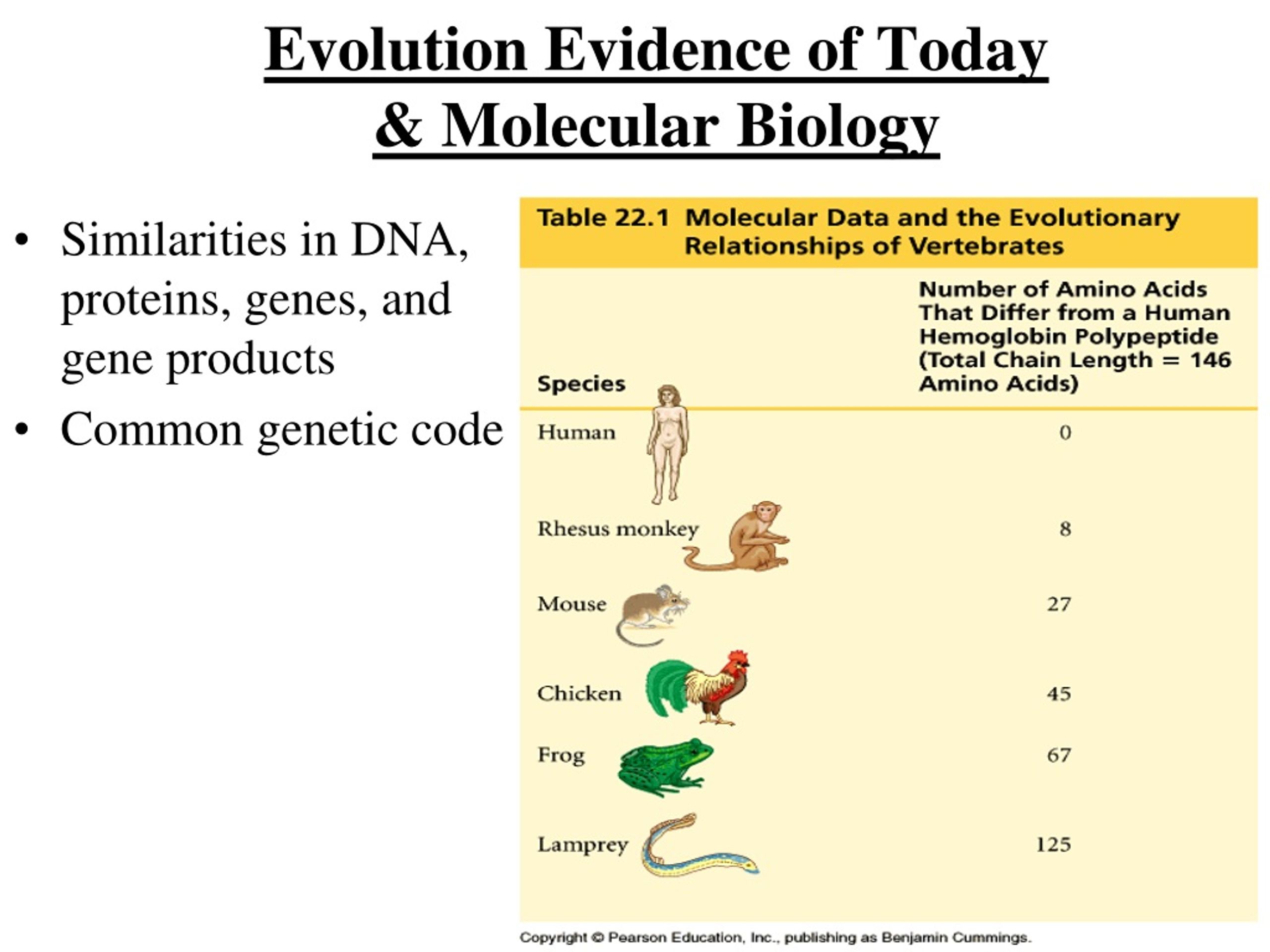 what is molecular biology in evolution