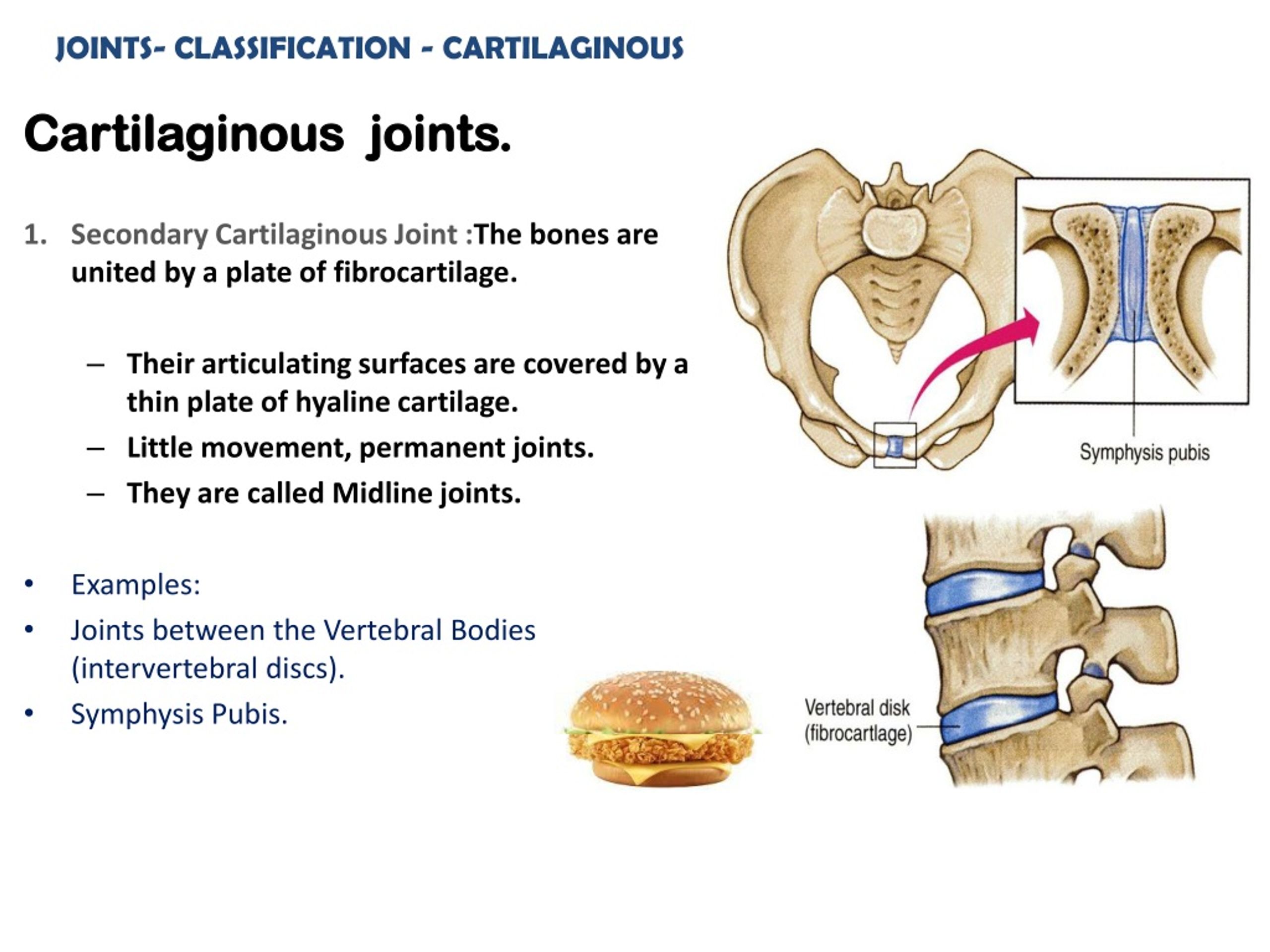 define joint presentation