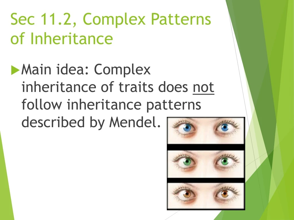 sec 11 2 complex patterns of inheritance n.