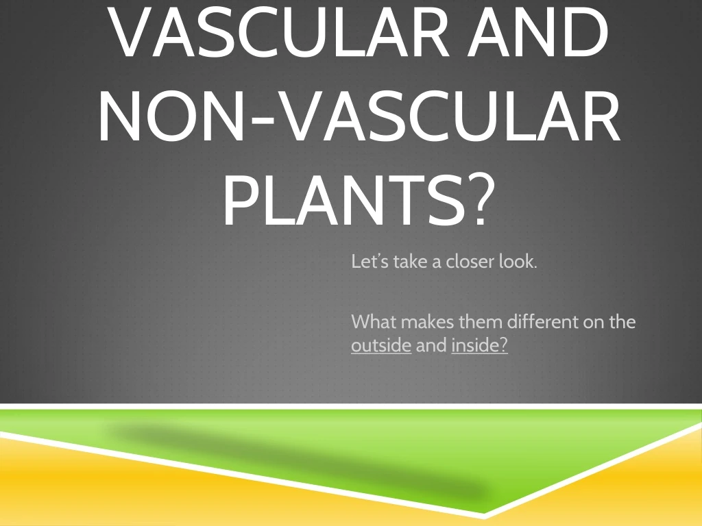 vascular and non vascular plants n.