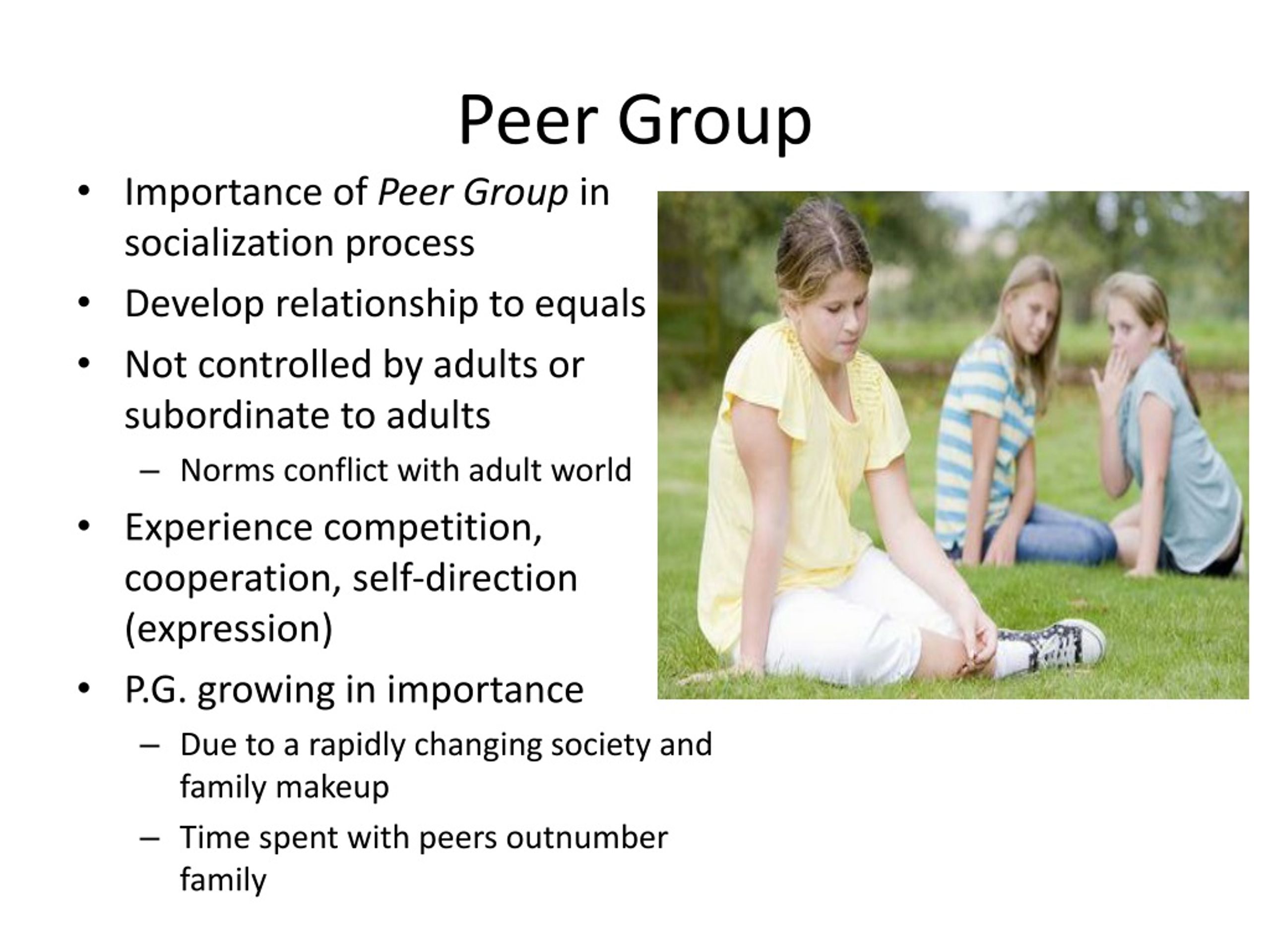 PPT Socialization PowerPoint Presentation Free Download ID 330031