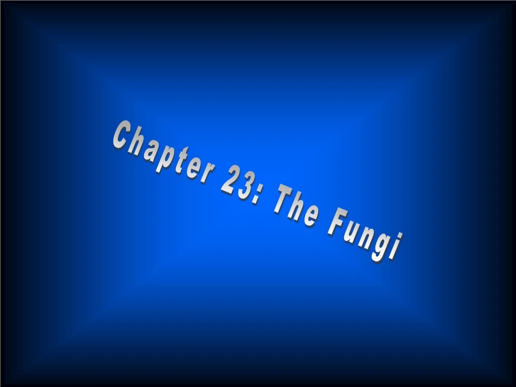 chapter 23 the fungi n.