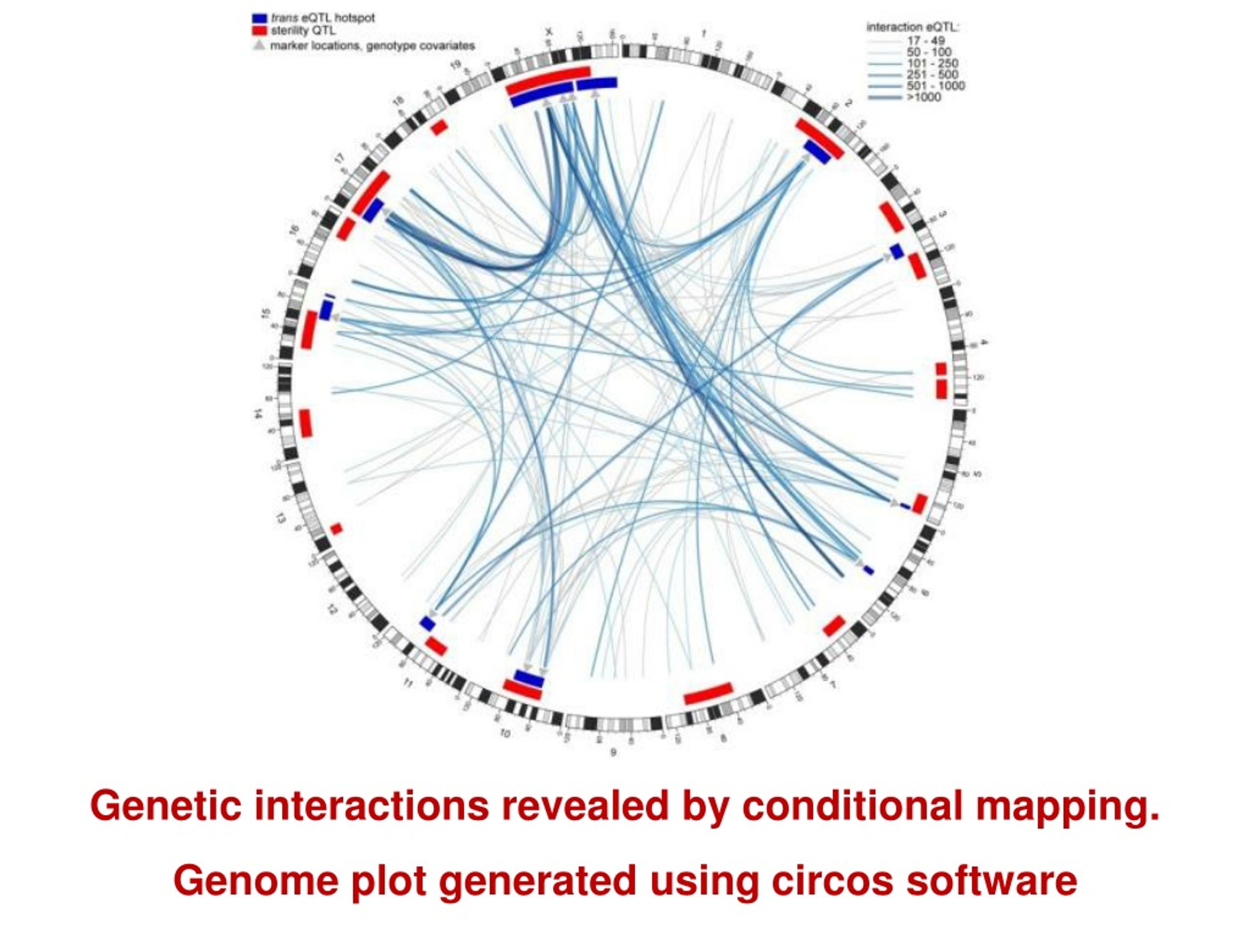 PPT - Functional Genomics PowerPoint Presentation, Free Download - ID ...