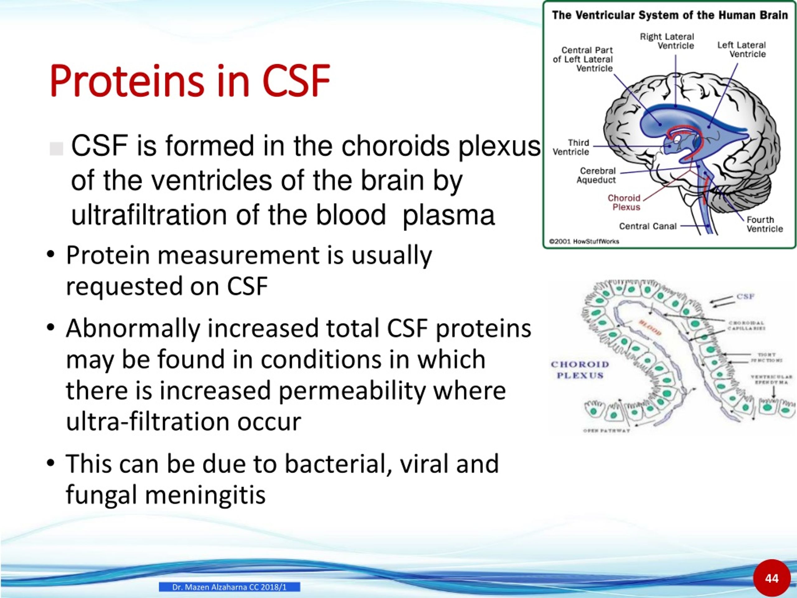 PPT Proteins PowerPoint Presentation, free download ID333811