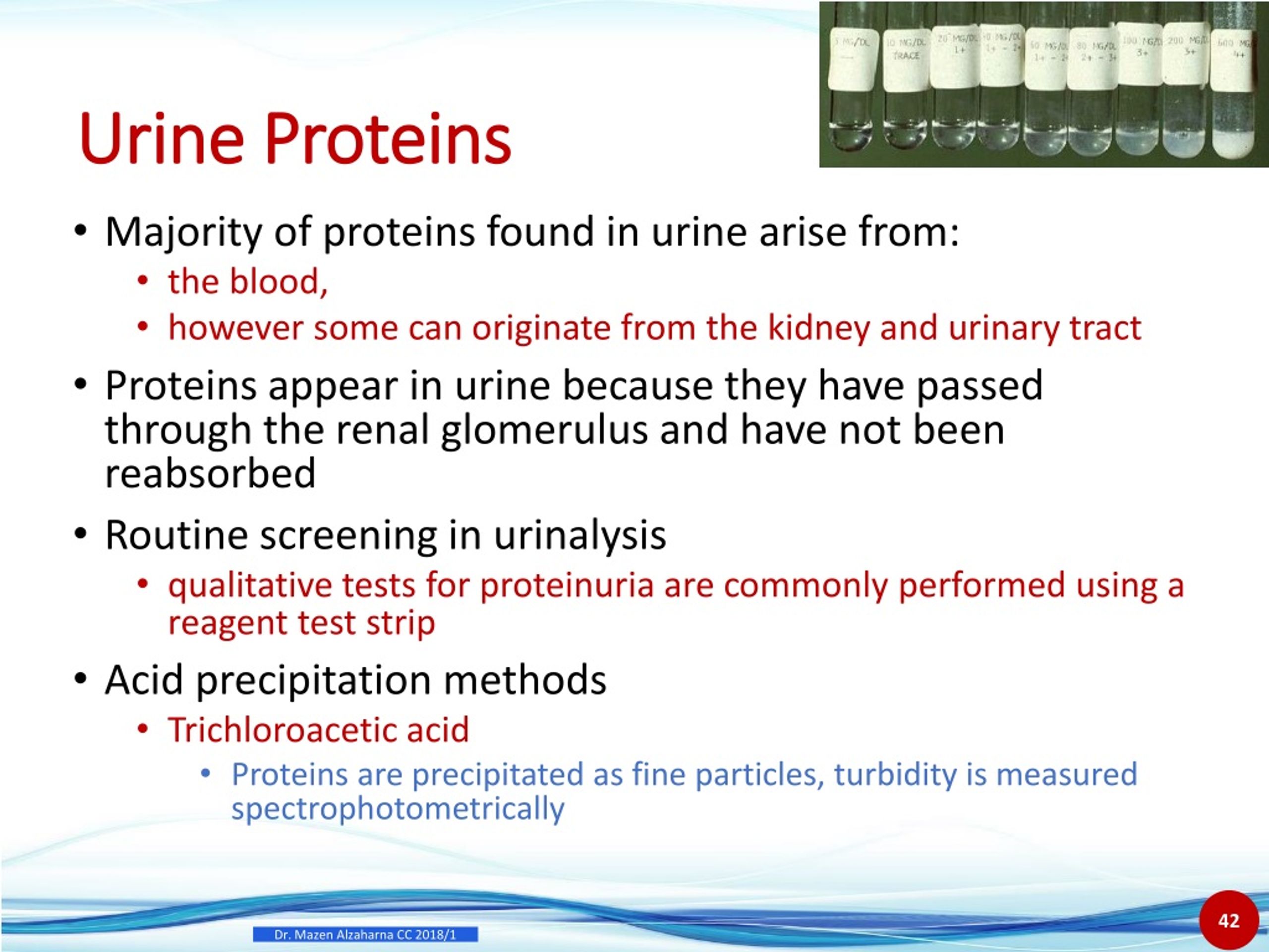 Blood And Protein In Urine Female Nhs at William Skinner blog