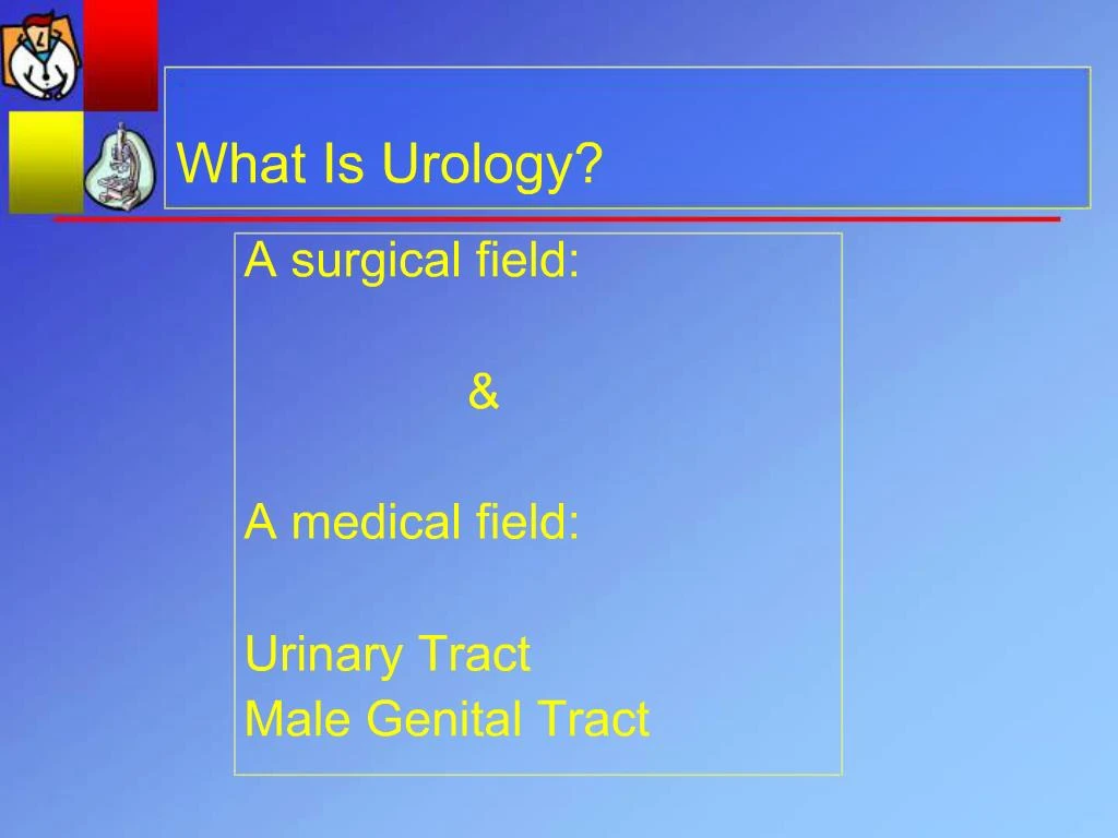 PPT - What Is Urology PowerPoint Presentation, Free Download - ID:334628